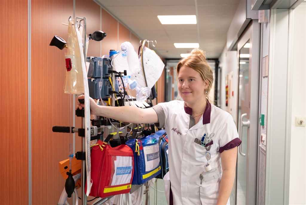 Hoe ziet de opleiding eruit?