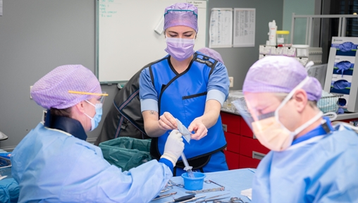 Sanne Verschuijten, Operatieassistent