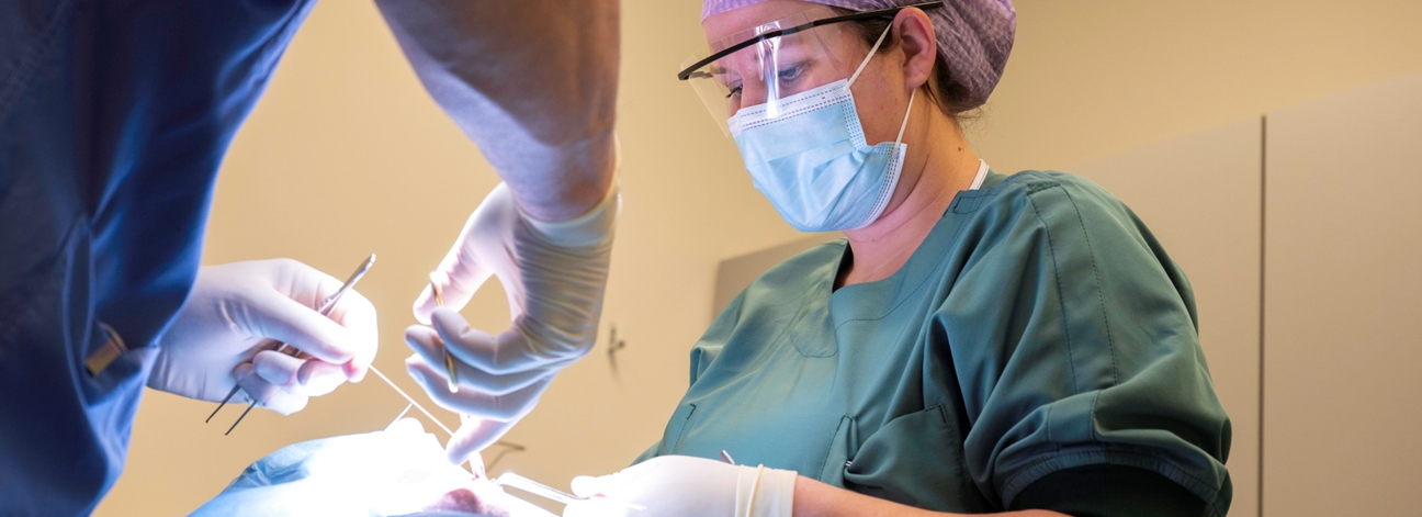 Tandarts (dokters) assistent 